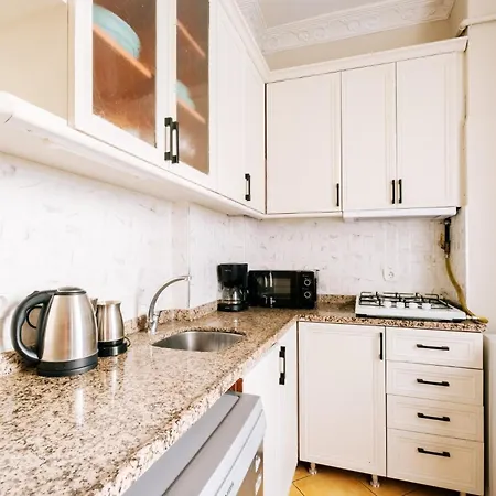Chic Spacious Flat Near Istiklal Avenue In Beyoglu Κωνσταντινούπολη