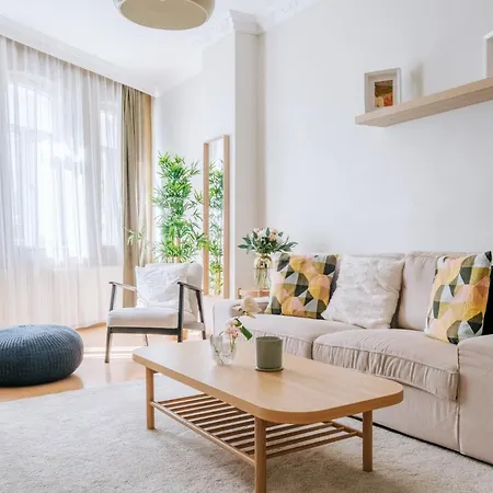 Chic Spacious Flat Near Istiklal Avenue In Beyoglu 公寓